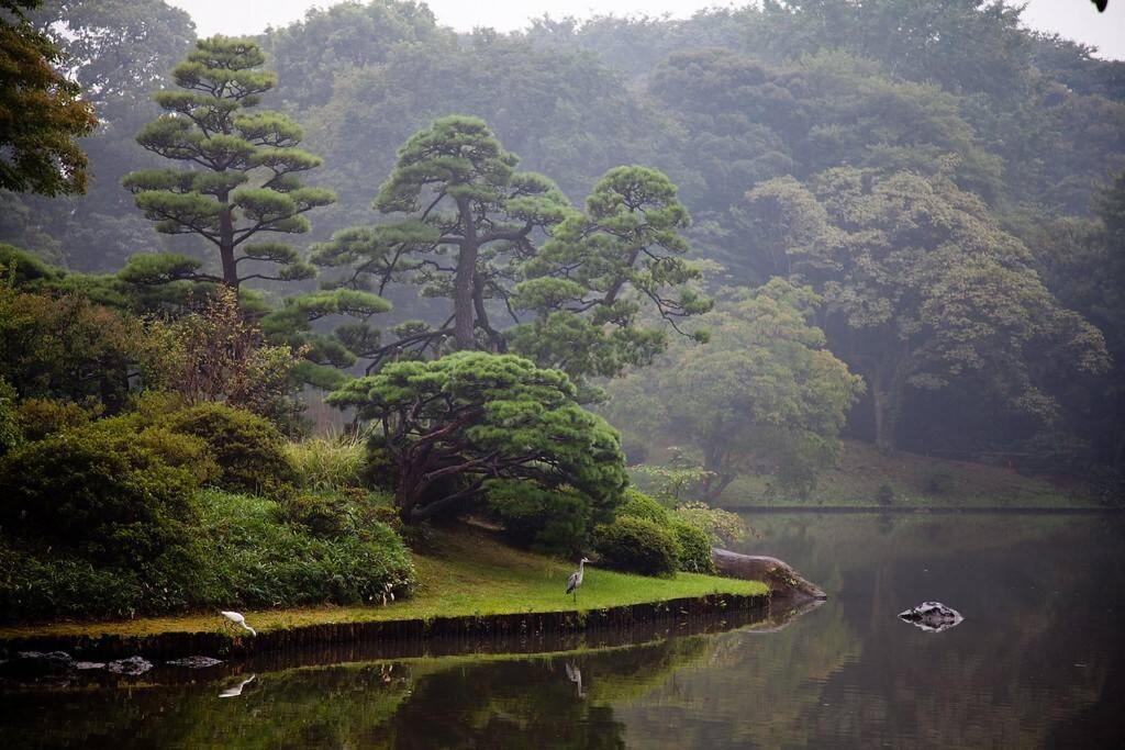 Tora Hotel Tokyo-Rikugienn 寅ホテル 六義園 C Esterno foto